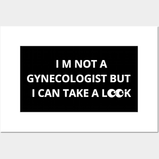 The Professionel not Gynecologist for a reason Posters and Art